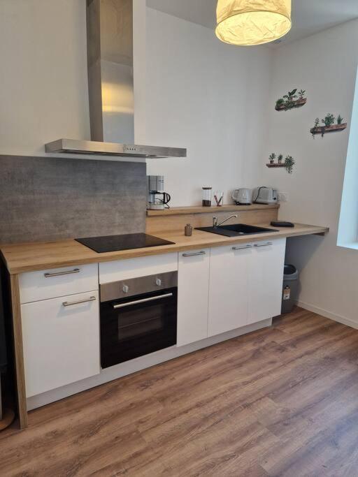 Appartement Le Carnot à Montceau-les-Mines Extérieur photo